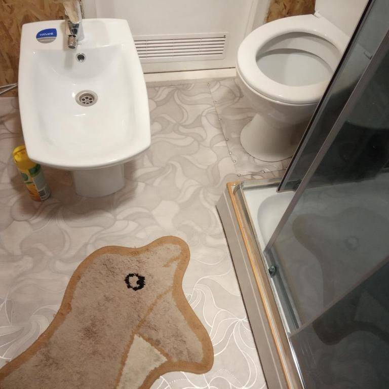 Фотографии номера Двухместный номер с 2 отдельными кроватями, вид на сад в Гостевом доме Guest House on Frunze Полоцк